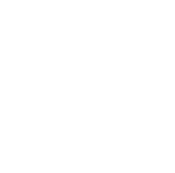 Lumion